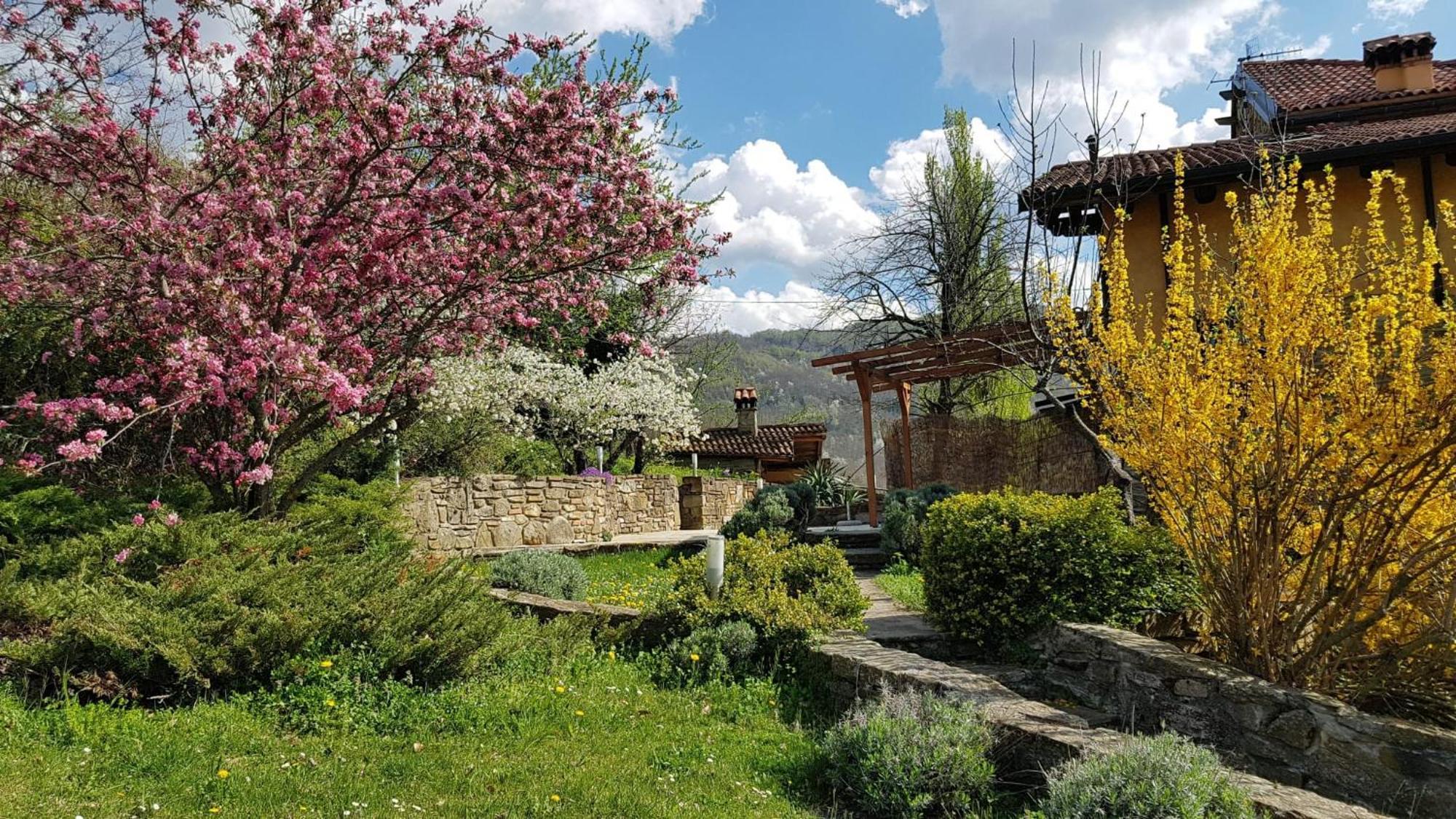 Agriturismo Fattoria Ca Di Sole San Benedetto Val di Sambro Exterior photo
